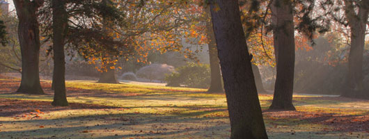 在线DDOS压力测试网页端